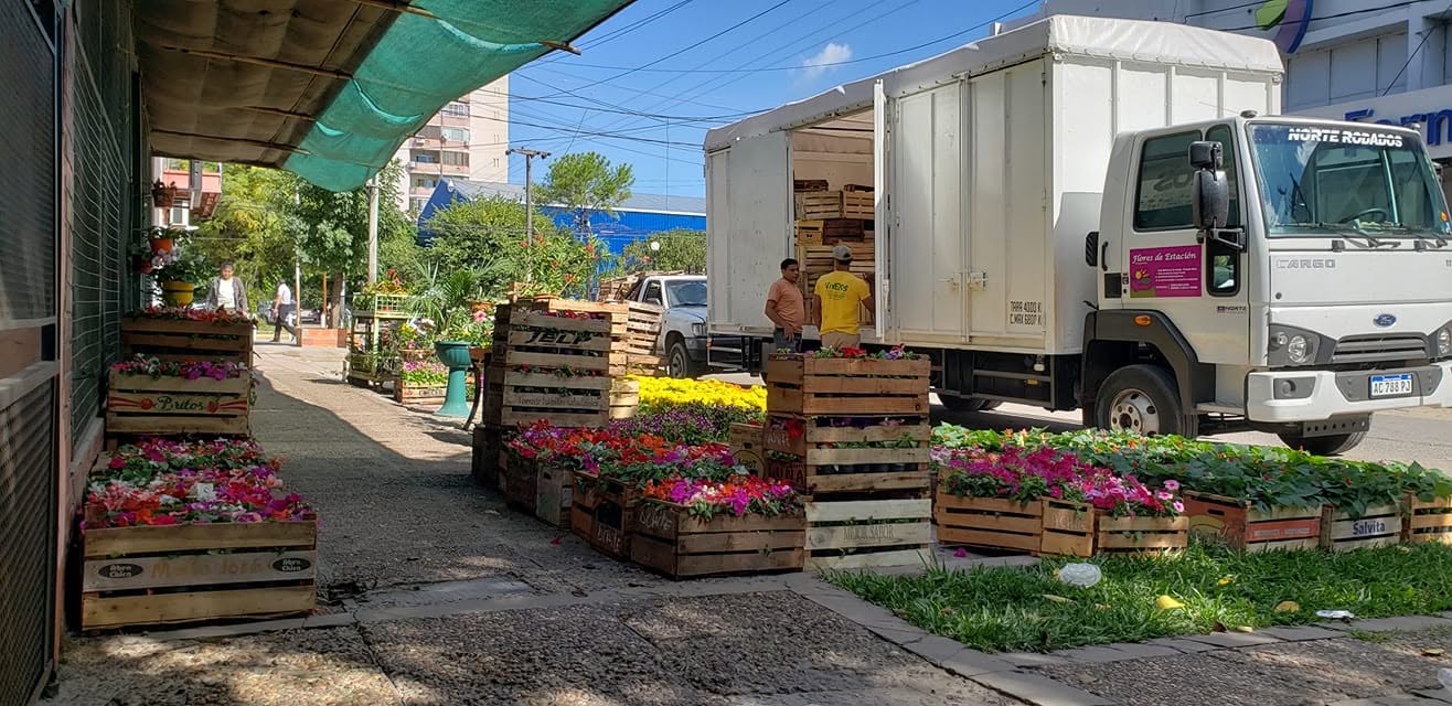 Logística y despacho de plantas